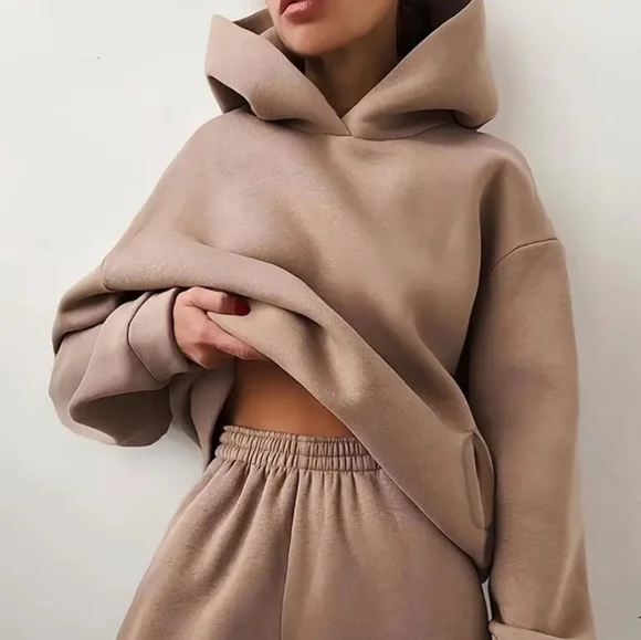 Cozy Tan 2 Pc Hoodie and Sweatpants Set Brand New Comfy Oversized Boxy Neutral - Picture 1 of 2